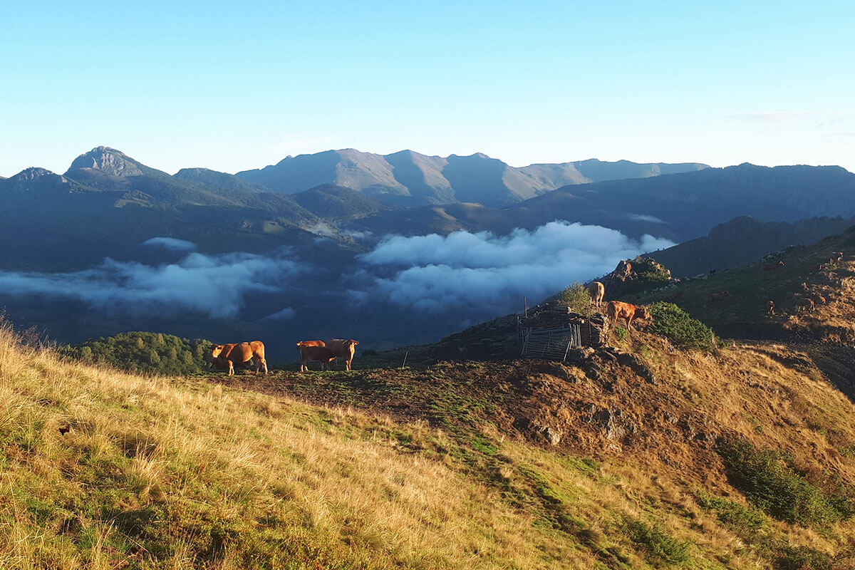 La ferme du Lac d'Estaing, élevage bio dans les Pyrénées